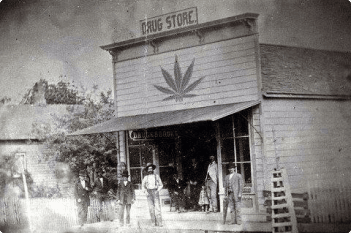 New Jersey cannabis history