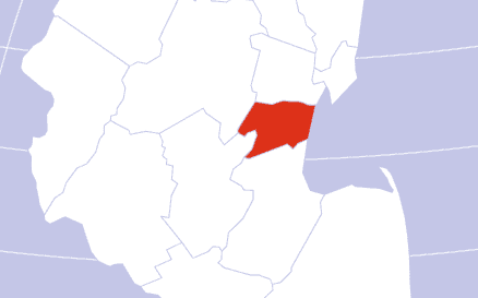 Union County Cannabis
